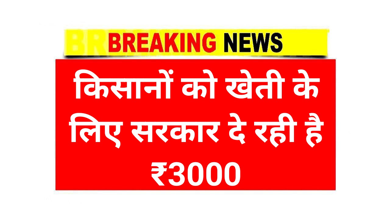 Govt Agriculture Business Scheme